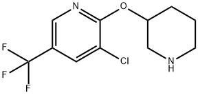 3-Chloro-2-(piperidin-3-yloxy)-5-(trifluoromethyl)pyridine Struktur