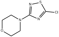 4-(5-Chloro-[1,2,4]thiadiazol-3-yl)-morpholine Struktur