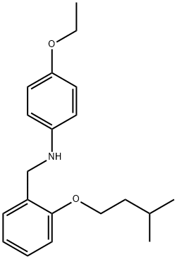 4-Ethoxy-N-[2-(isopentyloxy)benzyl]aniline Struktur