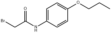 2-Bromo-N-(4-propoxyphenyl)acetamide Struktur