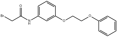 2-Bromo-N-[3-(2-phenoxyethoxy)phenyl]acetamide Struktur