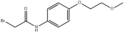 2-Bromo-N-[4-(2-methoxyethoxy)phenyl]acetamide Struktur