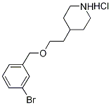 4-{2-[(3-Bromobenzyl)oxy]ethyl}piperidinehydrochloride Struktur