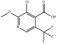 3-Chloro-2-methoxy-5-(trifluoromethyl)-isonicotinic acid Struktur