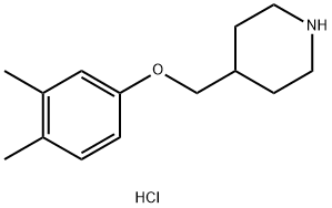 4-[(3,4-Dimethylphenoxy)methyl]piperidinehydrochloride Struktur