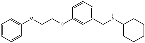 N-[3-(2-Phenoxyethoxy)benzyl]cyclohexanamine Struktur