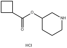 3-Piperidinyl cyclobutanecarboxylate hydrochloride Struktur