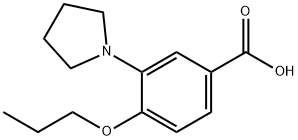 4-Propoxy-3-pyrrolidin-1-yl-benzoic acid Struktur