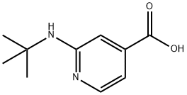 2-(tert-Butylamino)isonicotinic acid Struktur