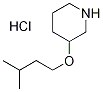 3-(Isopentyloxy)piperidine hydrochloride Struktur