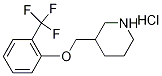 3-{[2-(Trifluoromethyl)phenoxy]methyl}piperidinehydrochloride Struktur