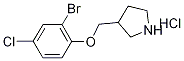 3-[(2-Bromo-4-chlorophenoxy)methyl]pyrrolidinehydrochloride Struktur