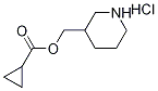 3-Piperidinylmethyl cyclopropanecarboxylatehydrochloride Struktur