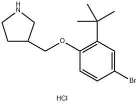 4-Bromo-2-(tert-butyl)phenyl 3-pyrrolidinylmethyl-ether hydrochloride Struktur