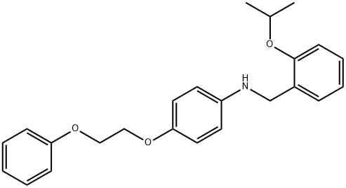 N-(2-Isopropoxybenzyl)-4-(2-phenoxyethoxy)aniline Struktur