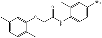 N-(4-Amino-2-methylphenyl)-2-(2,5-dimethylphenoxy)acetamide Struktur