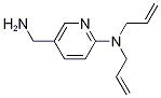 N,N-Diallyl-5-(aminomethyl)-2-pyridinamine Struktur