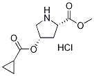 Methyl (2S,4S)-4-[(cyclopropylcarbonyl)oxy]-2-pyrrolidinecarboxylate hydrochloride Struktur