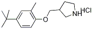 3-{[4-(tert-Butyl)-2-methylphenoxy]-methyl}pyrrolidine hydrochloride Struktur