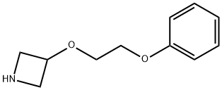 3-(2-Phenoxyethoxy)azetidine Struktur