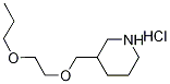 3-[(2-Propoxyethoxy)methyl]piperidinehydrochloride Struktur