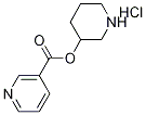 3-Piperidinyl nicotinate hydrochloride Struktur