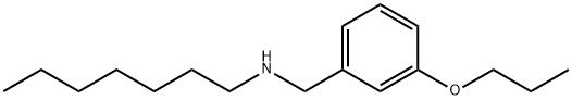 N-(3-Propoxybenzyl)-1-heptanamine Struktur