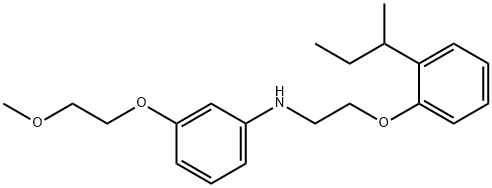 N-{2-[2-(sec-Butyl)phenoxy]ethyl}-3-(2-methoxyethoxy)aniline Struktur