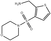 [3-(morpholin-4-ylsulfonyl)thien-2-yl]methylamine Struktur