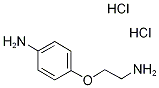 [4-(2-aminoethoxy)phenyl]amine dihydrochloride Struktur