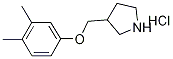 3-[(3,4-Dimethylphenoxy)methyl]pyrrolidinehydrochloride Struktur