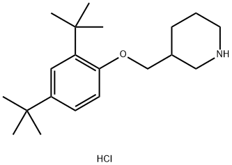 3-{[2,4-Di(tert-butyl)phenoxy]methyl}piperidinehydrochloride Struktur