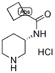 (3S)-3-[(Cyclobutylcarbonyl)amino]piperidine hydrochloride Struktur