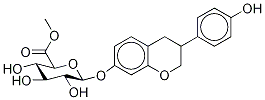 Methyl Equol-7-yl--D-glucopyranosidurinate Struktur