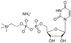 Uridine Diphosphate Choline Ammonium Salt Struktur