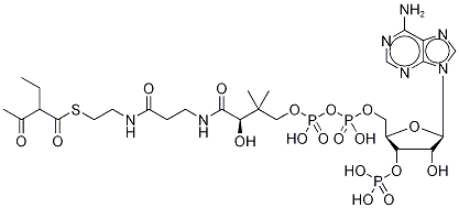 Coenzyme A S-(2-Ethyl-3-oxobutanoate) Struktur