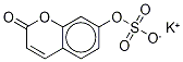 7-Hydroxy Coumarin-13C6 Sulfate Struktur