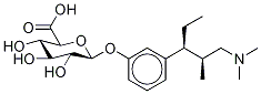 Tapentadol-d5 O-β-D-Glucuronide Struktur