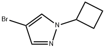 4-BroMo-1-cyclobutylpyrazole Struktur