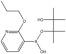 2-N-PROPOXYPYRIDINE-3-BORONIC ACID PINACOL ESTER Struktur