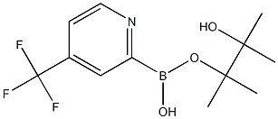 4-(TRIFLUOROMETHYL)PYRIDINE-2-BORONIC ACID PINACOL ESTER Struktur