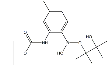 2-(tert-Butoxycarbonylamino)-4-methylphenylboronic acid, pinacol ester Struktur