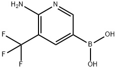 (6-AMino-5-(trifluoroMethyl)pyridin-3-yl)boronic acid Struktur