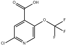 2-chloro-5-(trifluoroMethoxy)isonicotinic acid Struktur