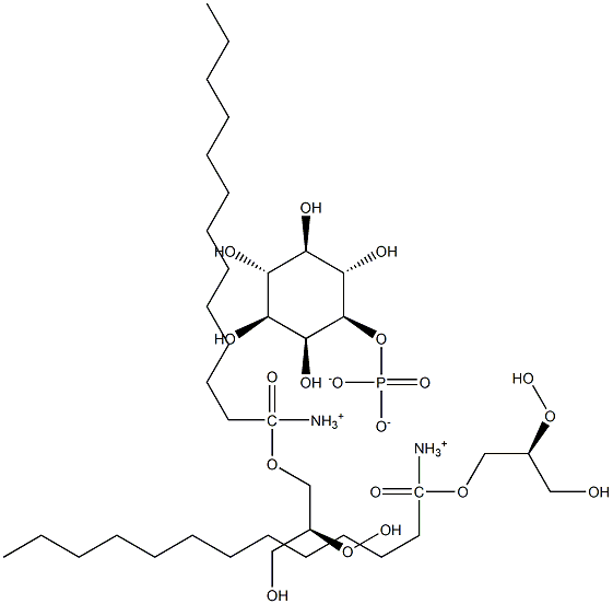  化學構造式