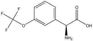 2-(3-(TrifluoroMethoxy)-phenyl)-(S)-glycine Struktur