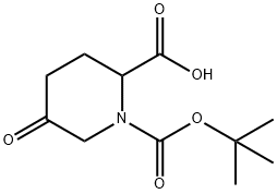 1,2-Piperidinedicarboxylic acid, 5-oxo-, 1-(1,1-diMethylethyl) ester Struktur