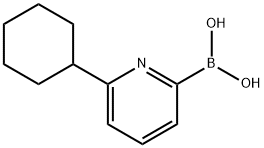 6-CYCLOHEXYLPYRIDINE-2-BORONIC ACID Struktur