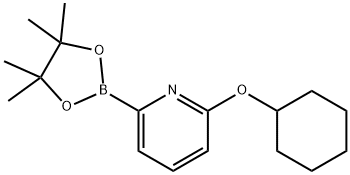 6-(CYCLOHEXYLOXY)PYRIDINE-2-BORONIC ACID PINACOL ESTER Struktur