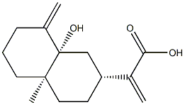 5beta-Hydroxycostic acid